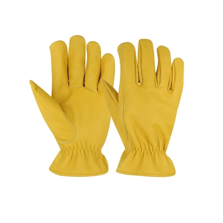 Driving Gloves